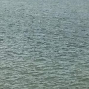 Meet your Posher, Richard